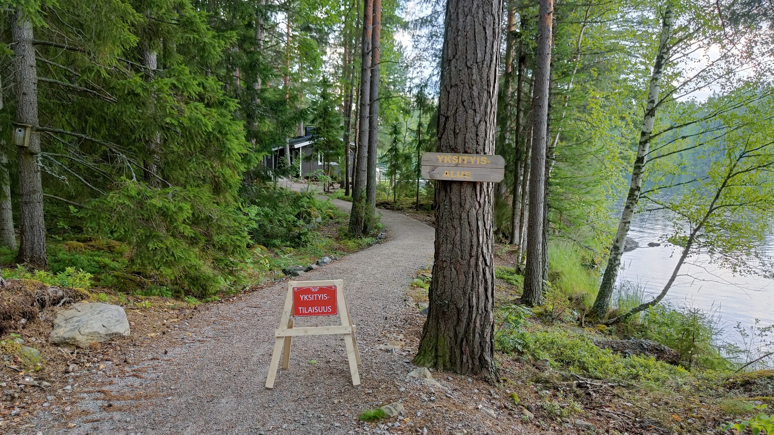 IMG20250731134350